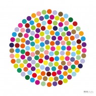 Poster smallDOTS