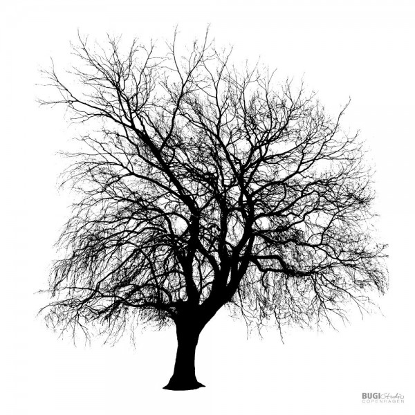 Poster WILLOW