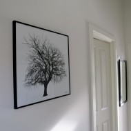 Poster WILLOW