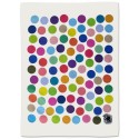 Viskestykke DOTS